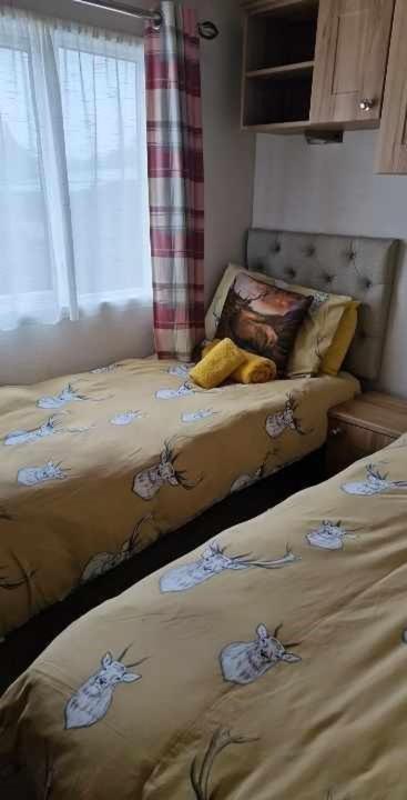 فيلا Cairn View Chalet أفيمور المظهر الخارجي الصورة